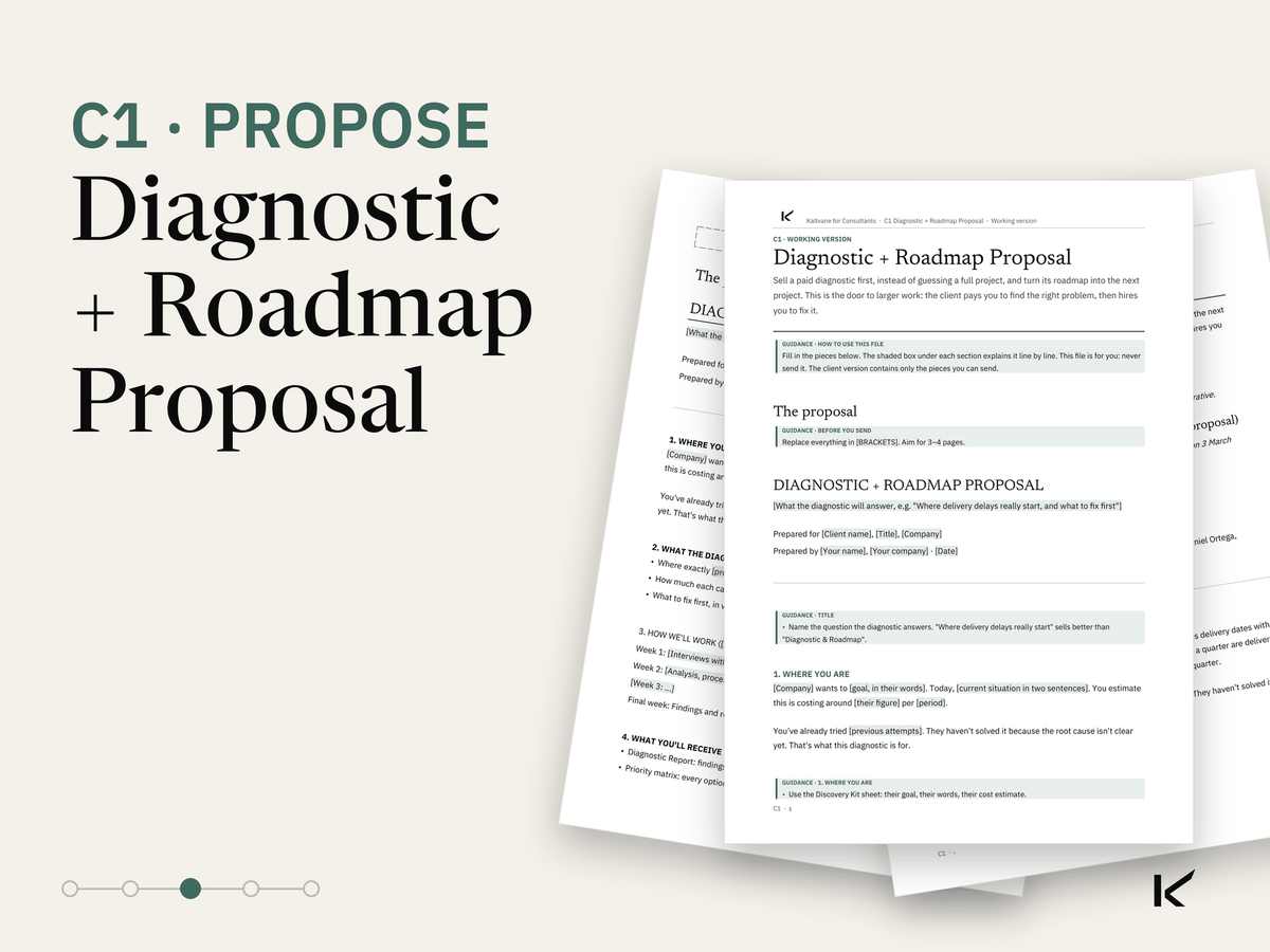 Cover of Diagnostic + Roadmap Proposal, C1