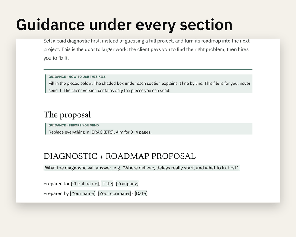 Preview 2 of 3: page of the Diagnostic + Roadmap Proposal client version