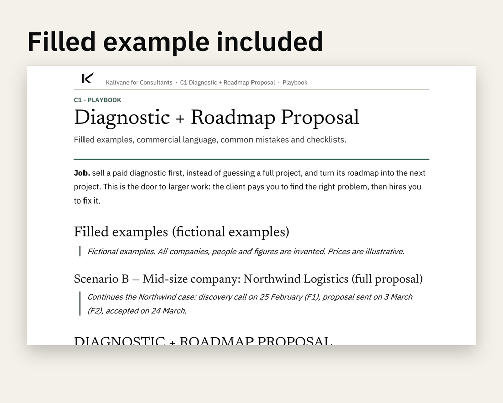 Preview 3 of 3: page of the Diagnostic + Roadmap Proposal client version